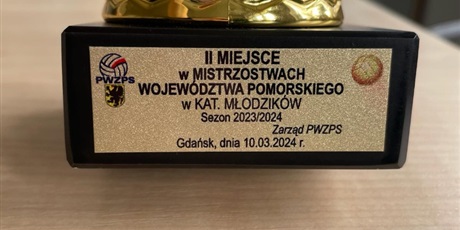 Powiększ grafikę: brawo-siatkarze-513954.jpg