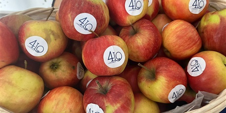 Powiększ grafikę: dzien-otwarty-w-iv-lo-683869.jpg