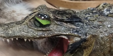 Powiększ grafikę: dzien-w-urzedzie-651678.jpg