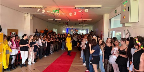 Powiększ grafikę: halloween-651694.jpg