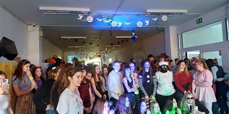 Powiększ grafikę: halloween-651699.jpg