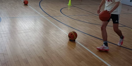 Powiększ grafikę: halloween-651709.jpg