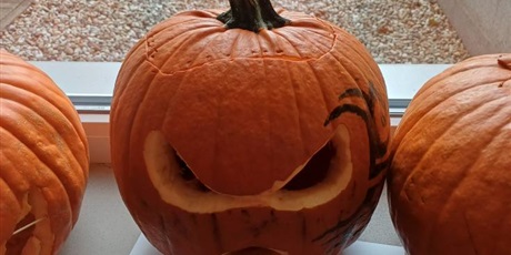 Powiększ grafikę: halloween-651718.jpg