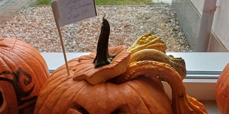 Powiększ grafikę: halloween-651719.jpg