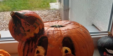 Powiększ grafikę: halloween-651720.jpg