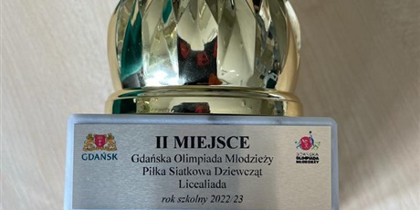 Powiększ grafikę: ii-miejsce-gdanska-olimpiada-mlodziezy-pilka-siatkowa-dziewczat-licealiada-2022-2023-433336.jpg