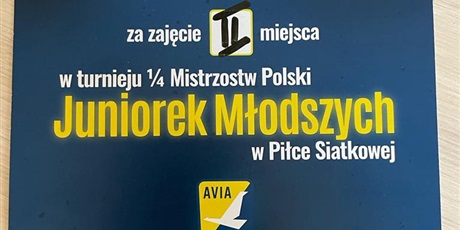 Powiększ grafikę: ii-miejsce-gdanska-olimpiada-mlodziezy-pilka-siatkowa-dziewczat-licealiada-2022-2023-433338.jpg