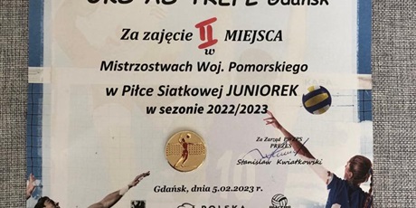 Powiększ grafikę: ii-miejsce-w-mistrzostwach-woj-pomorskiego-w-pilce-siatkowej-juniorek-w-sezonie-2022-2023-416077.jpg