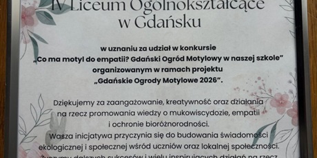 Powiększ grafikę: parada-motylowa-702537.jpg