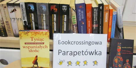 Powiększ grafikę: parapetowka-w-bibliotece-318243.jpg