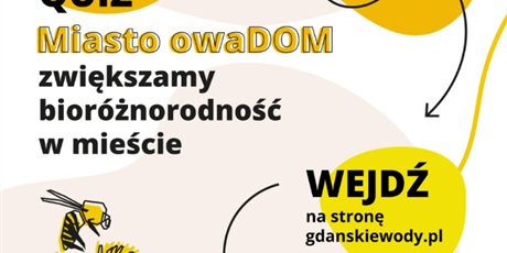 Powiększ grafikę: quiz-miasto-owadom-424329.jpg