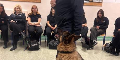 Powiększ grafikę: spotkanie-1b-2b-3b-ze-st-asp-lukaszem-wrzoskowiczem-659352.jpg