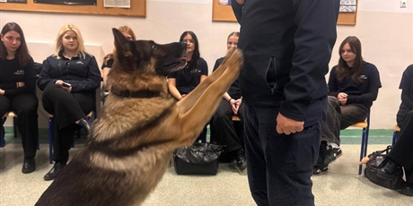 Powiększ grafikę: spotkanie-1b-2b-3b-ze-st-asp-lukaszem-wrzoskowiczem-659353.jpg