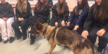 Powiększ grafikę: spotkanie-1b-2b-3b-ze-st-asp-lukaszem-wrzoskowiczem-659357.jpg