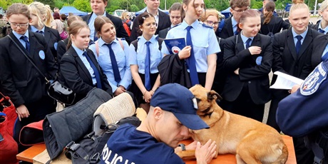Powiększ grafikę: udzial-w-x-pomorskim-dniu-otwartym-policji-623542.jpg