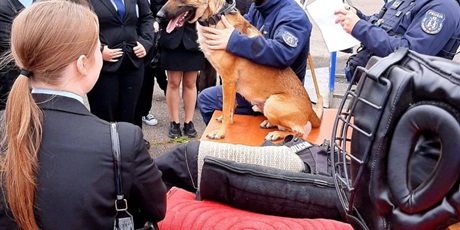 Powiększ grafikę: udzial-w-x-pomorskim-dniu-otwartym-policji-623543.jpg