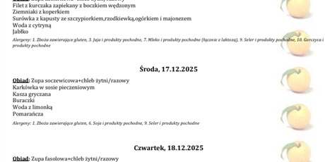 Powiększ grafikę: Bieżący jadłospis