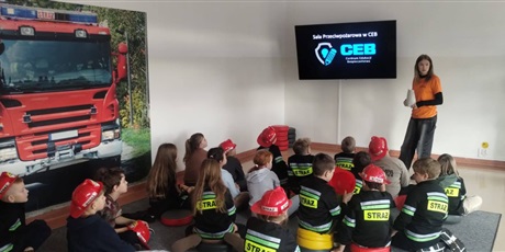 Powiększ grafikę: CEB w działaniu. Lekcje kaskadowe