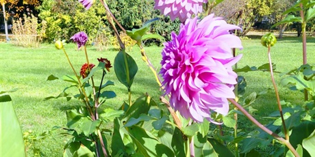 Powiększ grafikę: Drugi dzień spotkania Erasmus+ MUDI w Bukareszcie!